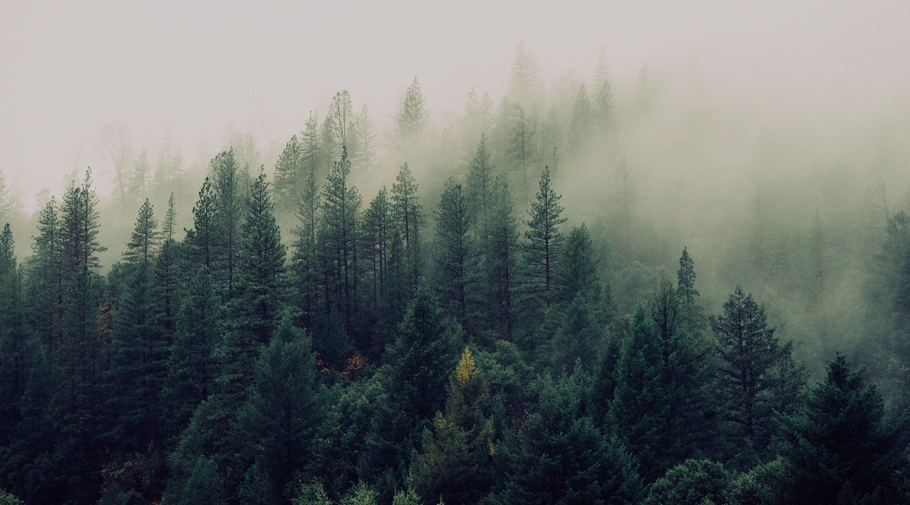 Do you need experience to print a Banner?